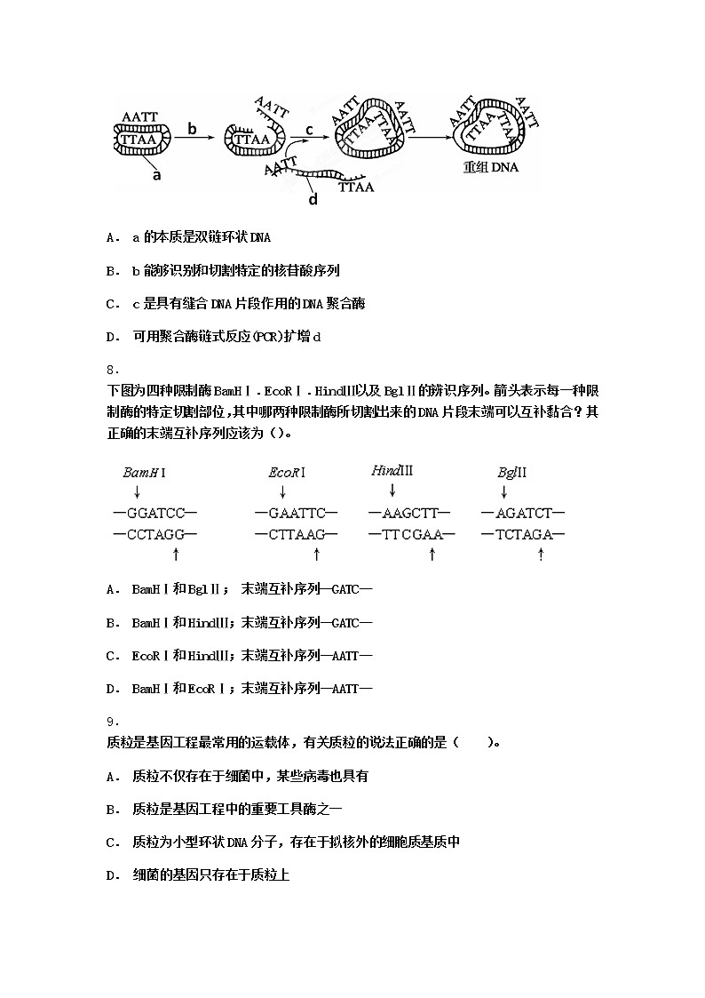沪教版高中生物选择性必修3基因工程的基本操作程序课时作业含答案303