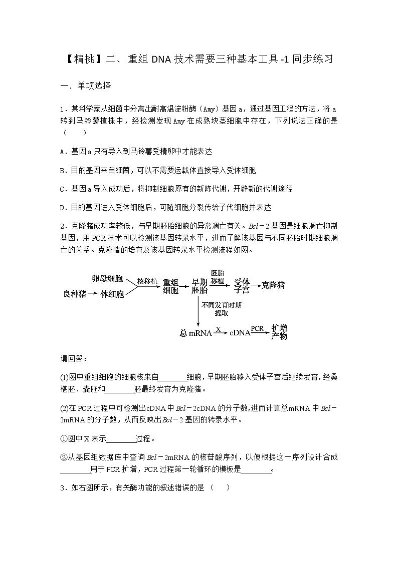 沪教版高中生物选择性必修3重组DNA技术需要三种基本工具同步作业含答案第1页