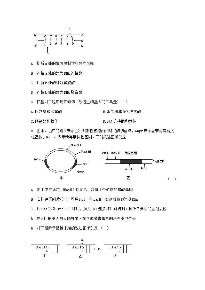 沪教版高中生物选择性必修3重组DNA技术需要三种基本工具同步作业含答案第2页