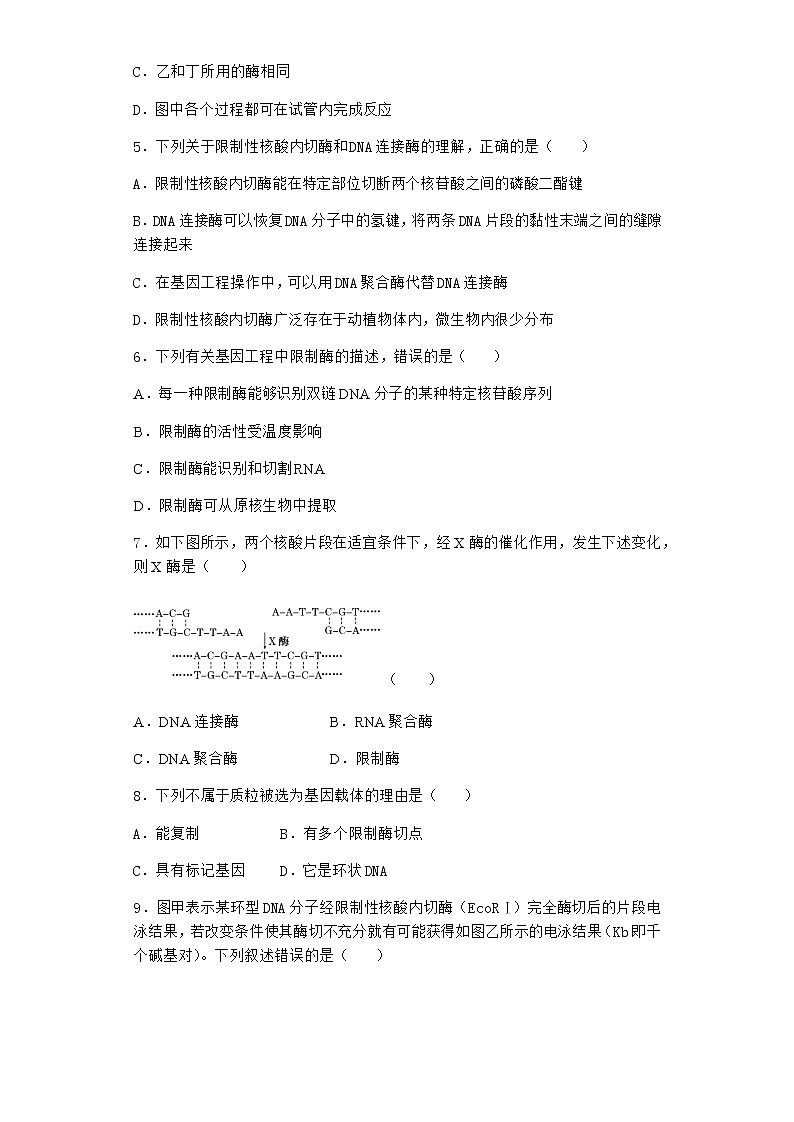 沪教版高中生物选择性必修3重组DNA技术需要三种基本工具课时作业含答案2第2页