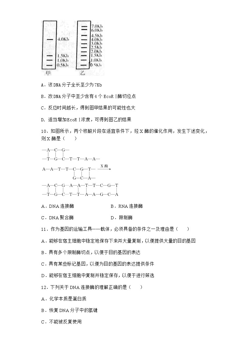 沪教版高中生物选择性必修3重组DNA技术需要三种基本工具课时作业含答案2第3页
