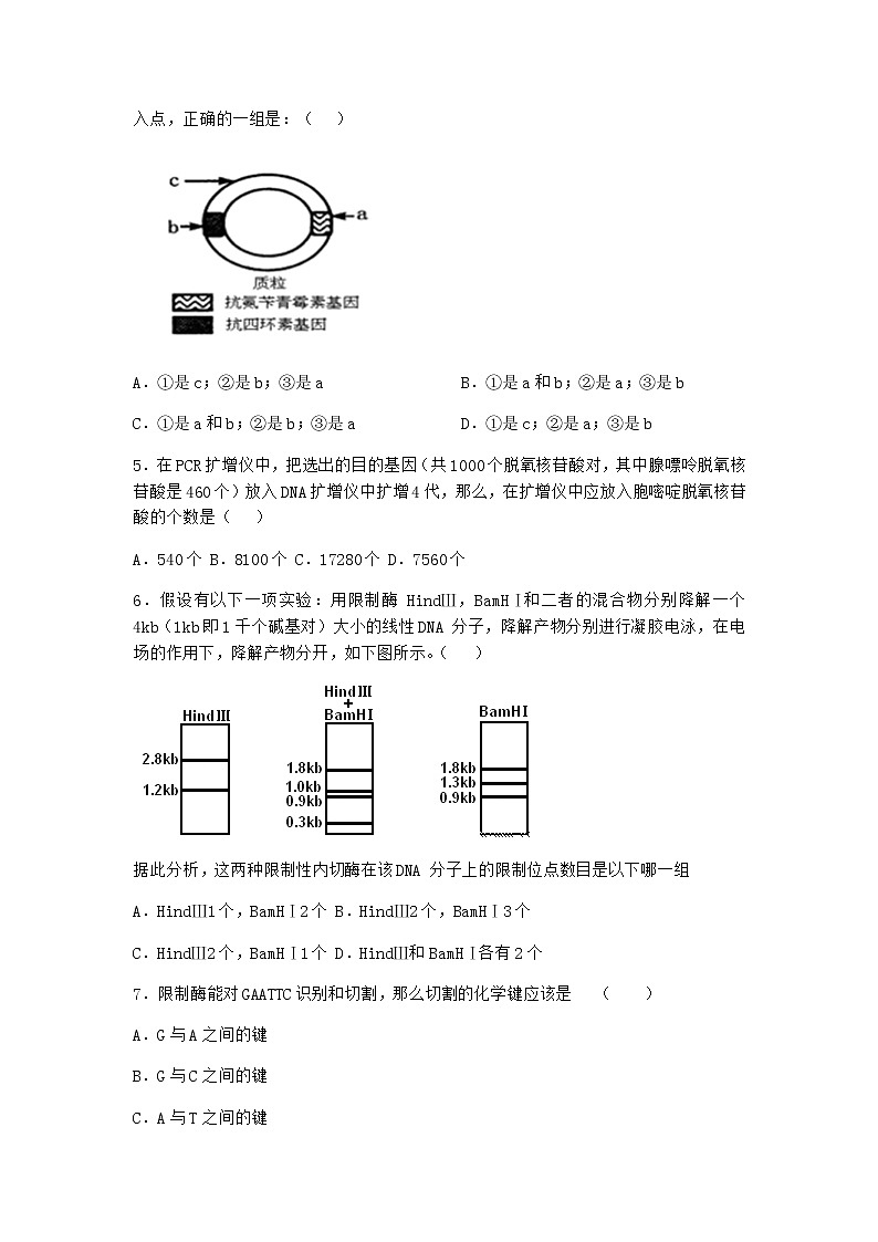 沪教版高中生物选择性必修3重组DNA技术需要三种基本工具课时作业含答案5第2页