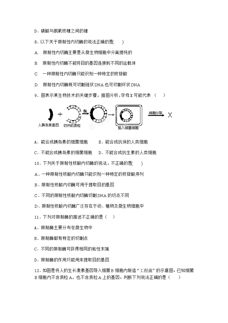 沪教版高中生物选择性必修3重组DNA技术需要三种基本工具课时作业含答案5第3页