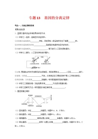 【备考2023】生物高考二轮复习专题精讲和分层训练——专题13 基因的分离定律