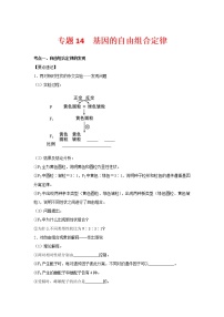 【备考2023】生物高考二轮复习专题精讲和分层训练——专题14 基因的自由组合定律