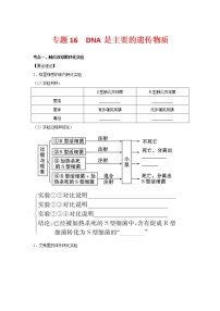 【备考2023】生物高考二轮复习专题精讲和分层训练——专题16 DNA是主要的遗传物质