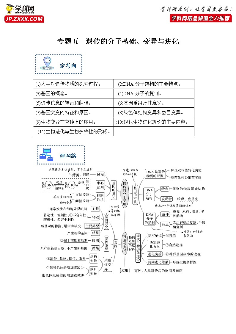 专题五 遗传的分子基础、变异与进化（原卷版）第1页