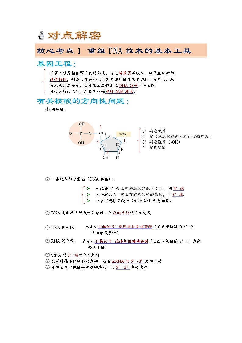 19 基因工程（讲义）（教师版）第3页