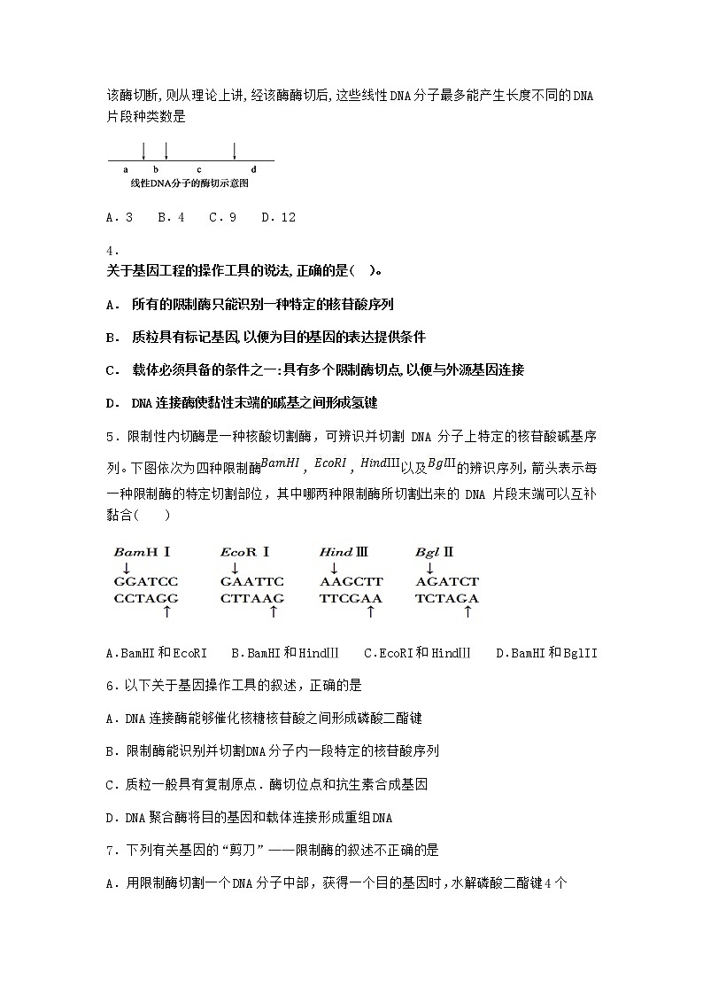 沪教版高中生物选择性必修3三基因工程的基本操作程序优质作业含答案3第2页