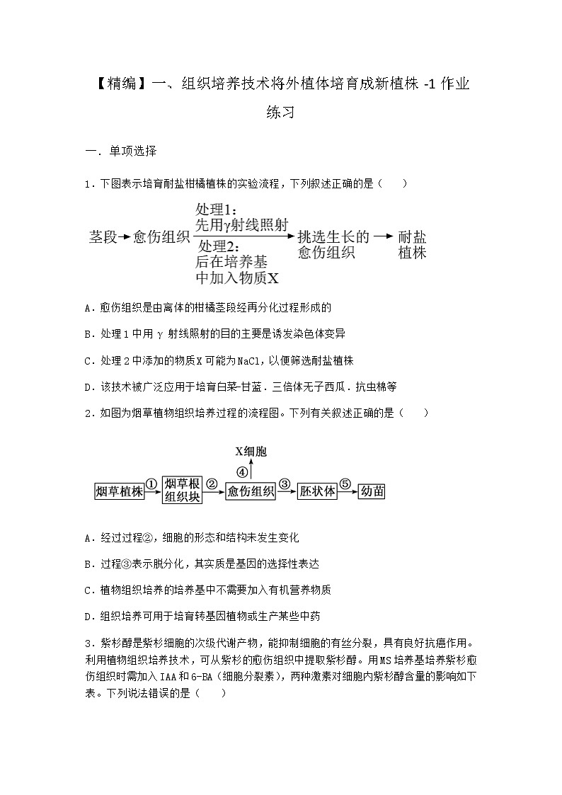 沪教版高中生物选择性必修3组织培养技术将外植体培育成新植株作业含答案1第1页