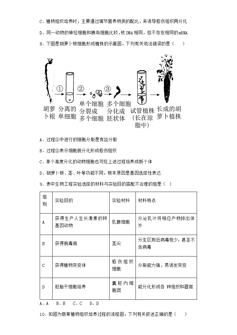 沪教版高中生物选择性必修3组织培养技术将外植体培育成新植株作业含答案2第3页