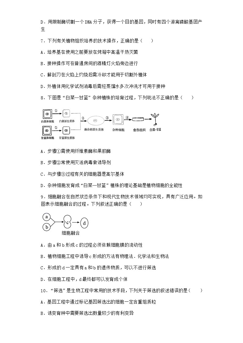 沪教版高中生物选择性必修3组织培养技术将外植体培育成新植株作业含答案3第3页