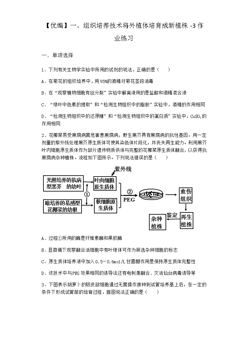 沪教版高中生物选择性必修3组织培养技术将外植体培育成新植株作业含答案6第1页
