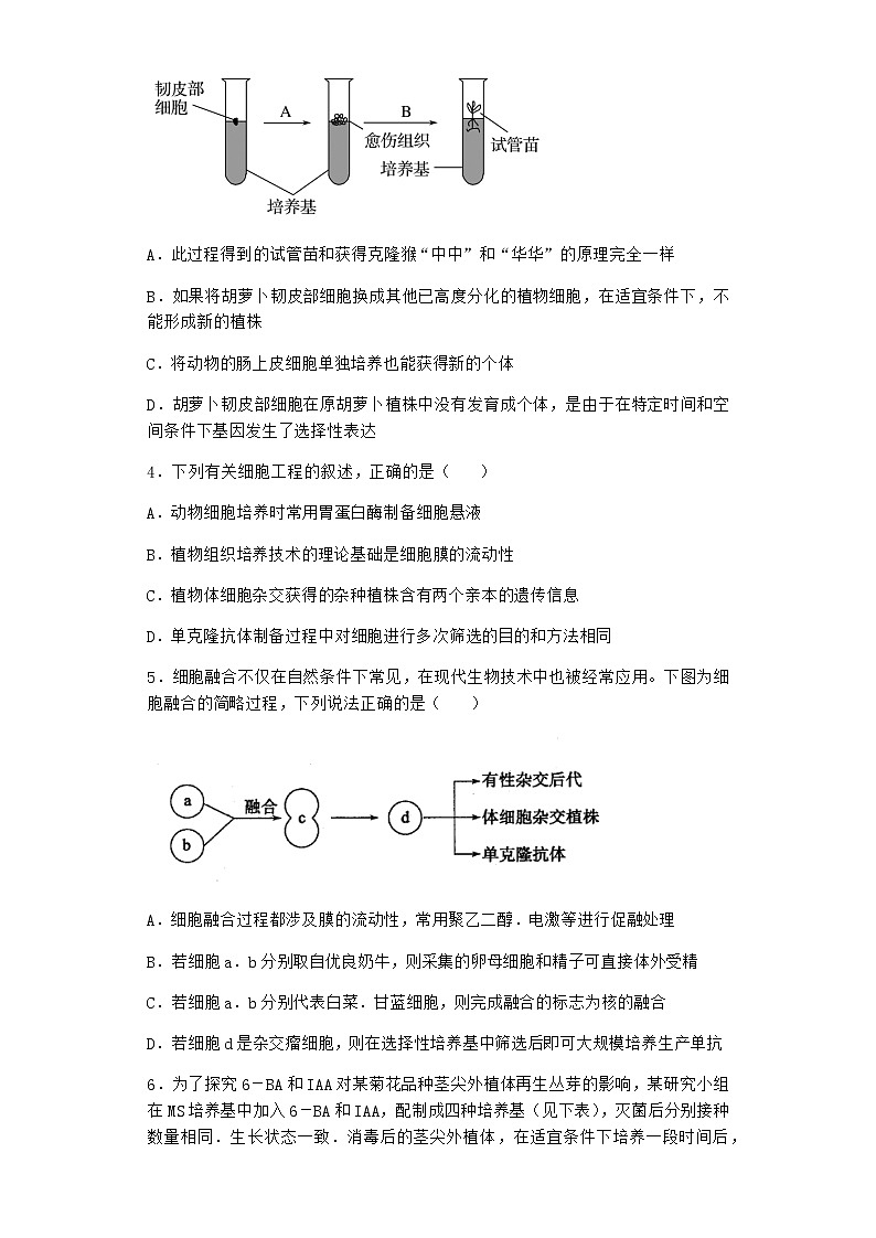 沪教版高中生物选择性必修3组织培养技术将外植体培育成新植株作业含答案6第2页