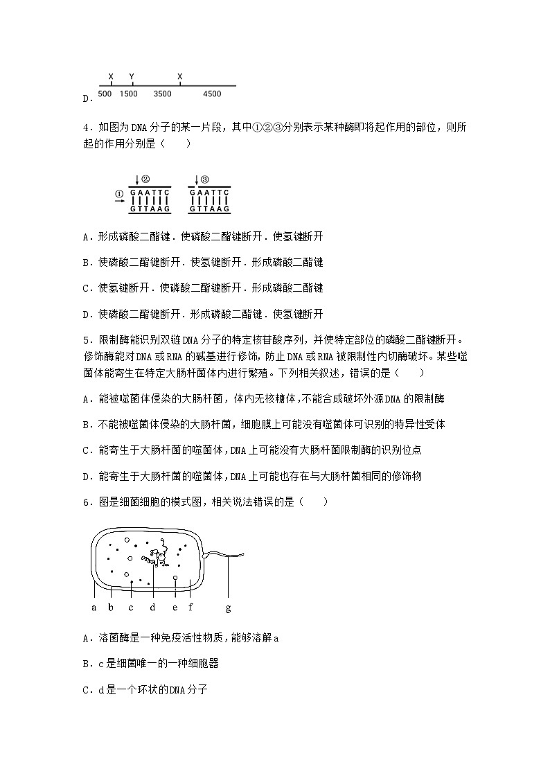 沪教版高中生物选择性必修3生物科学与技术的发展催生了基因工程作业含答案1第2页