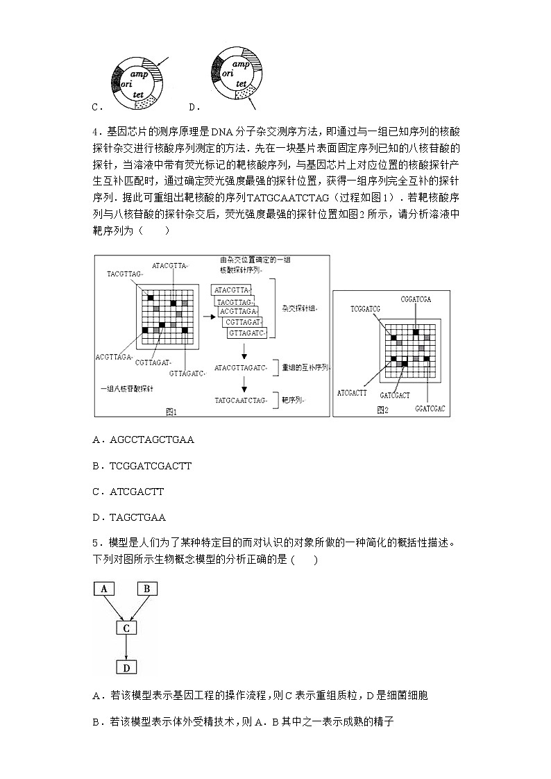 沪教版高中生物选择性必修3基因工程在医学领域贡献巨大作业含答案2第2页