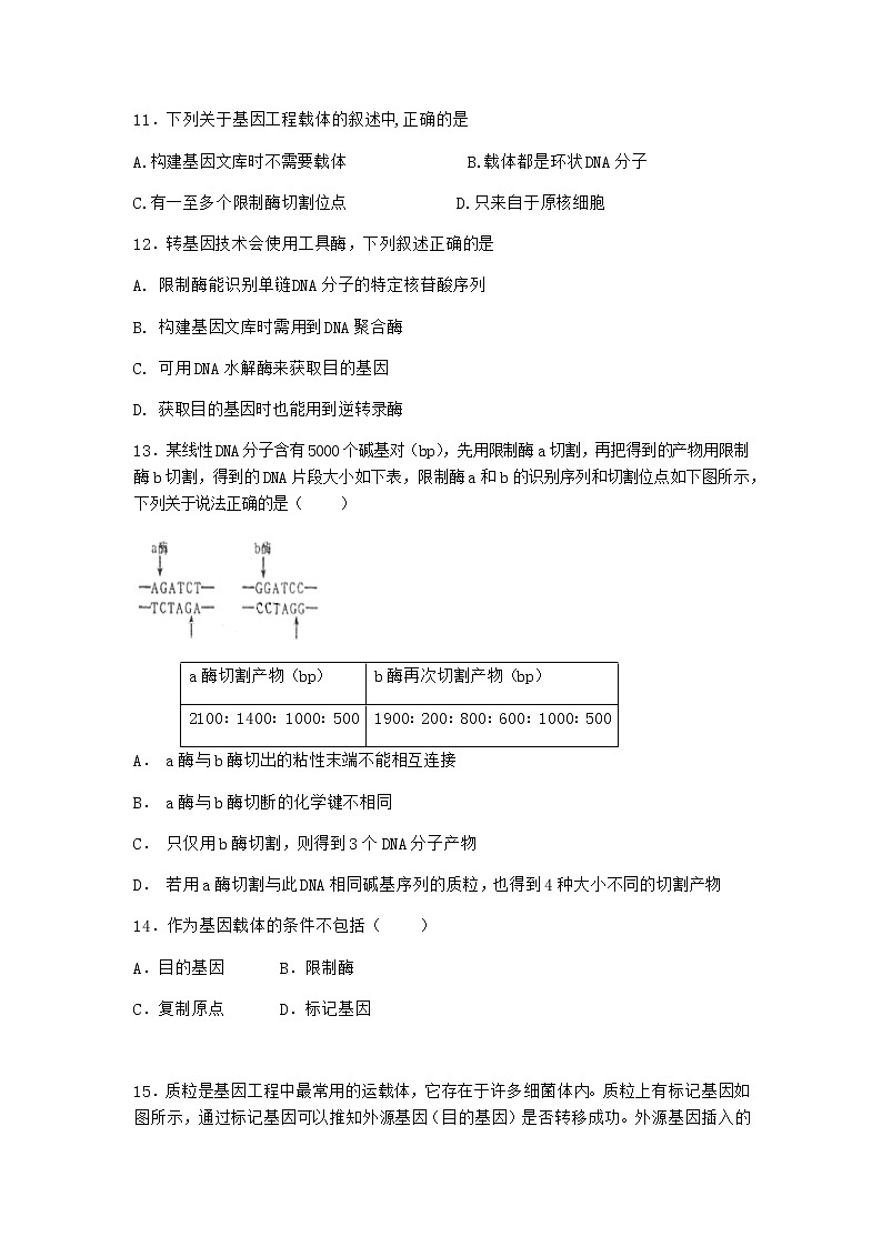 沪教版高中生物选择性必修3基因工程的基本操作程序作业含答案103
