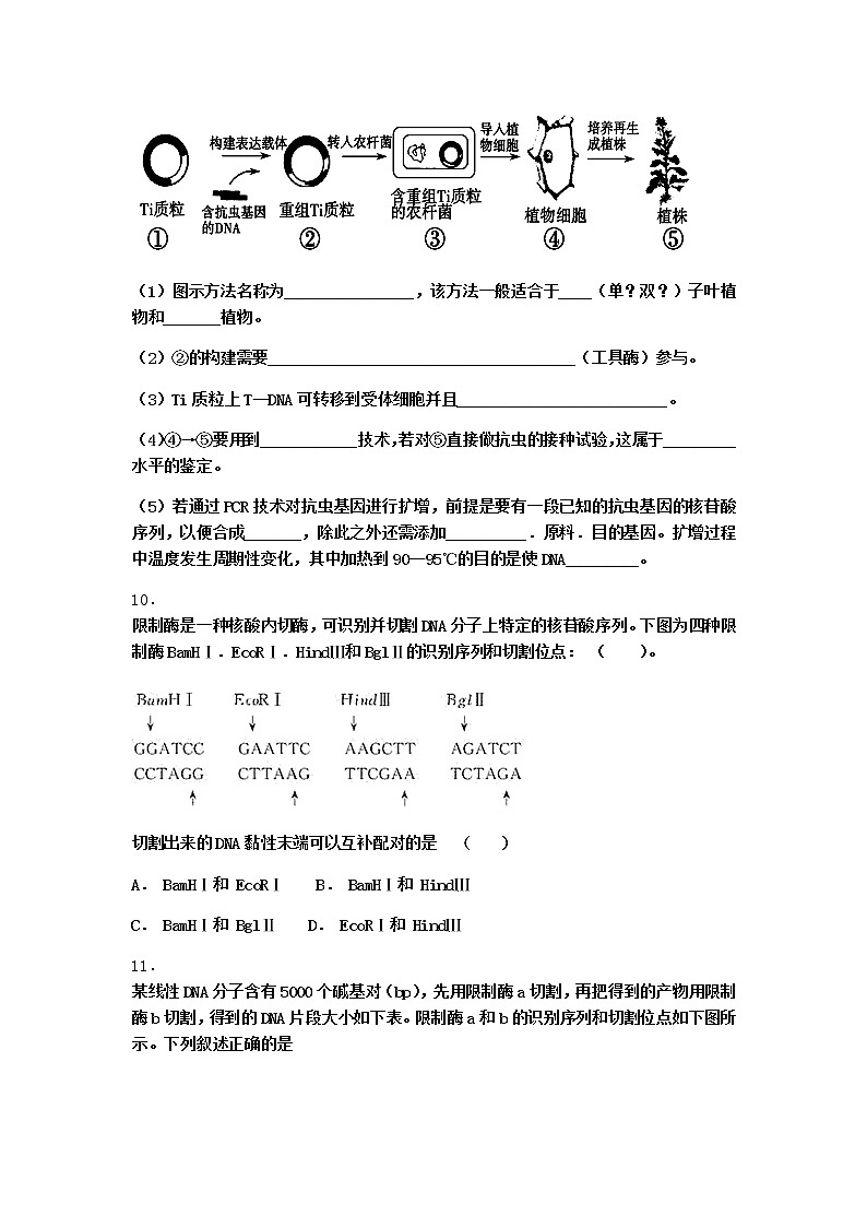 沪教版高中生物选择性必修3基因工程的基本操作程序作业含答案303