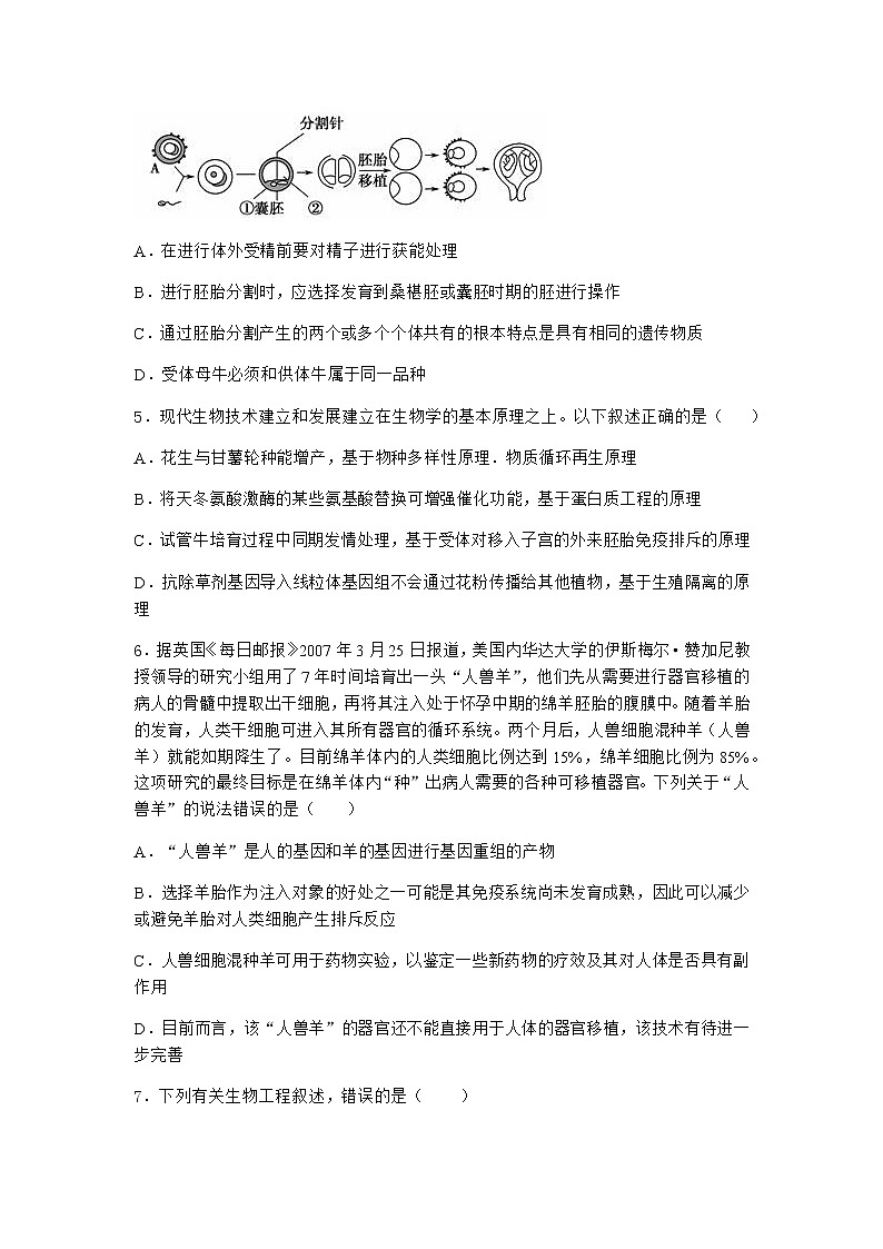沪教版高中生物选择性必修3一核移植技术可实现动物体细胞核的全能性优质作业含答案202