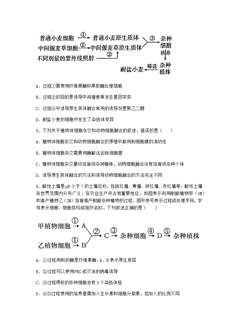 沪教版高中生物选择性必修3一组织培养技术将外植体培育成新植株优质作业含答案2第2页