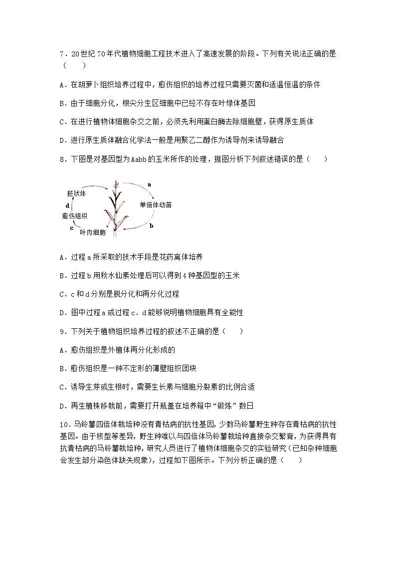 沪教版高中生物选择性必修3一组织培养技术将外植体培育成新植株优质作业含答案2第3页