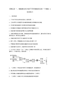 高中生物一、细胞融合技术使不同的细胞结合成一个细胞测试题