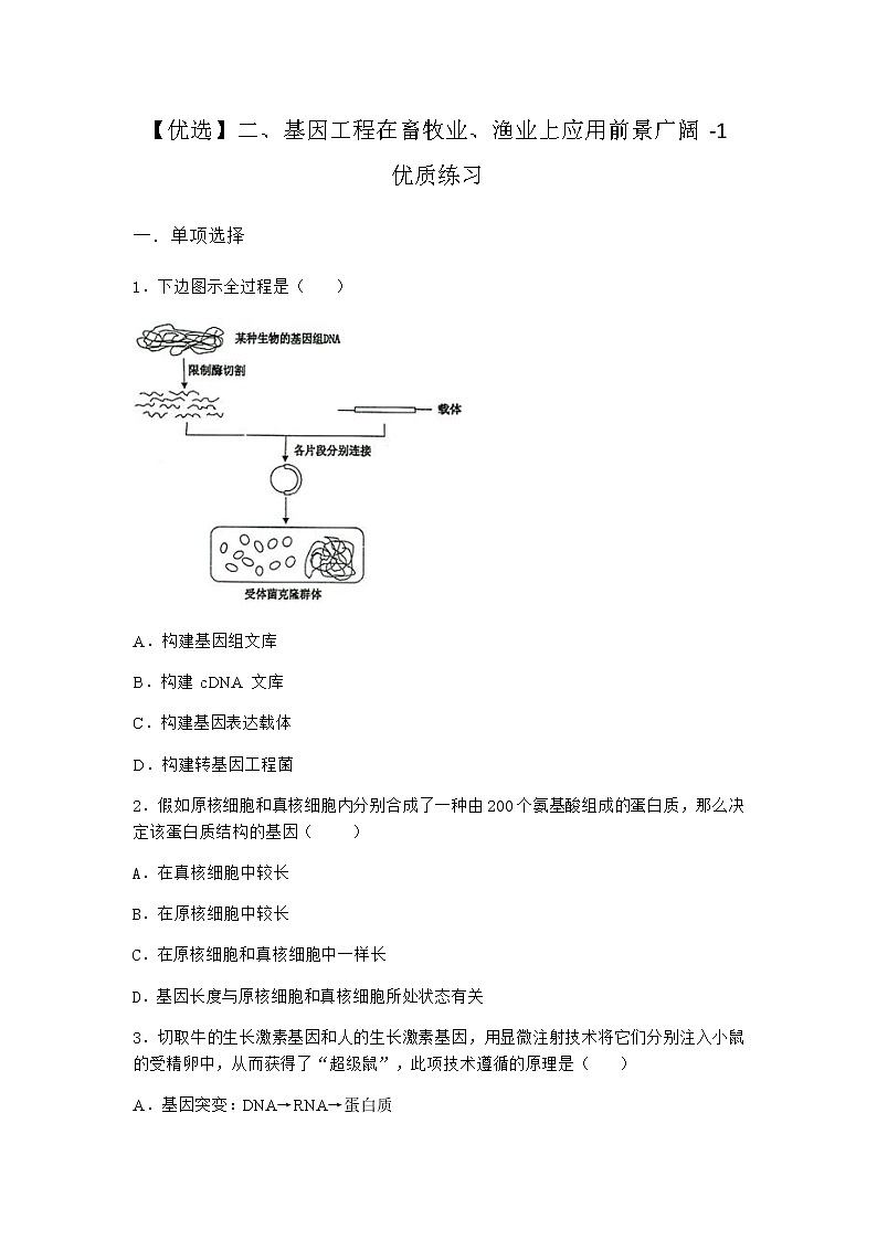 沪教版高中生物选择性必修3第三章第二节二基因工程在畜牧业、渔业上应用前景广阔优质作业含答案第1页
