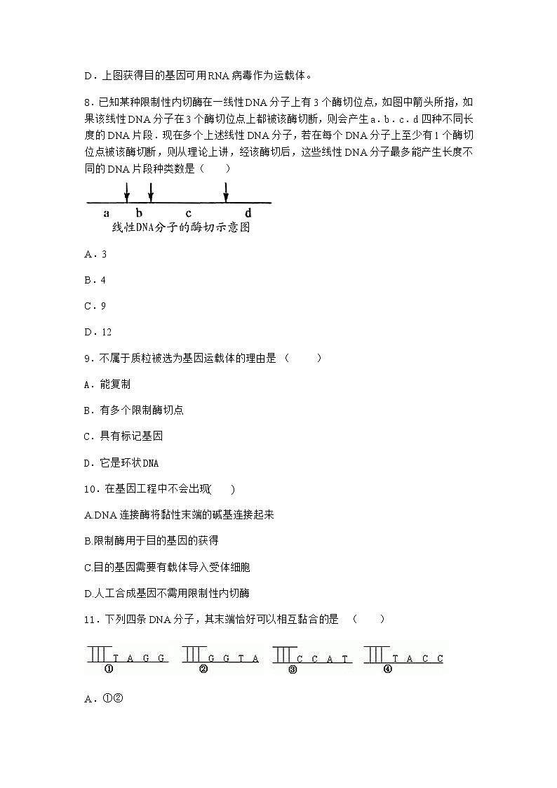 沪教版高中生物选择性必修3第三章第二节二基因工程在畜牧业、渔业上应用前景广阔优质作业含答案第3页