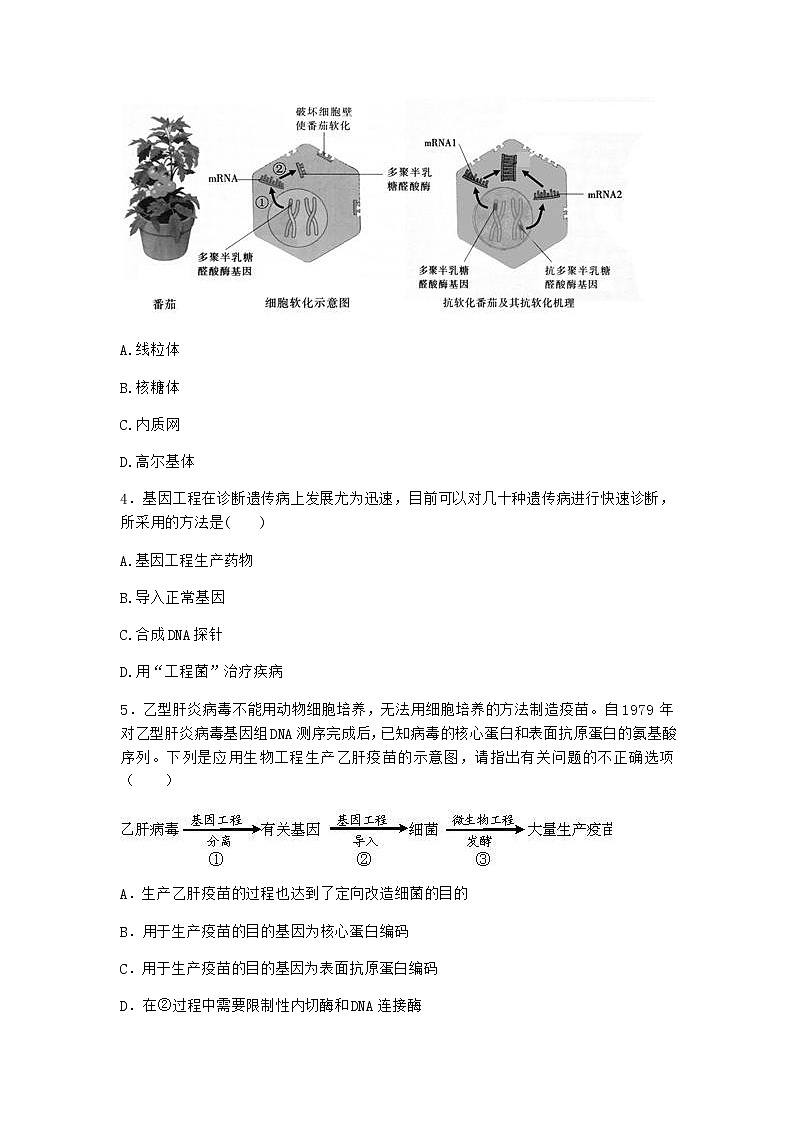 沪教版高中生物选择性必修3第三章第二节基因工程在畜牧业、渔业上应用前景广阔作业含答案4第2页