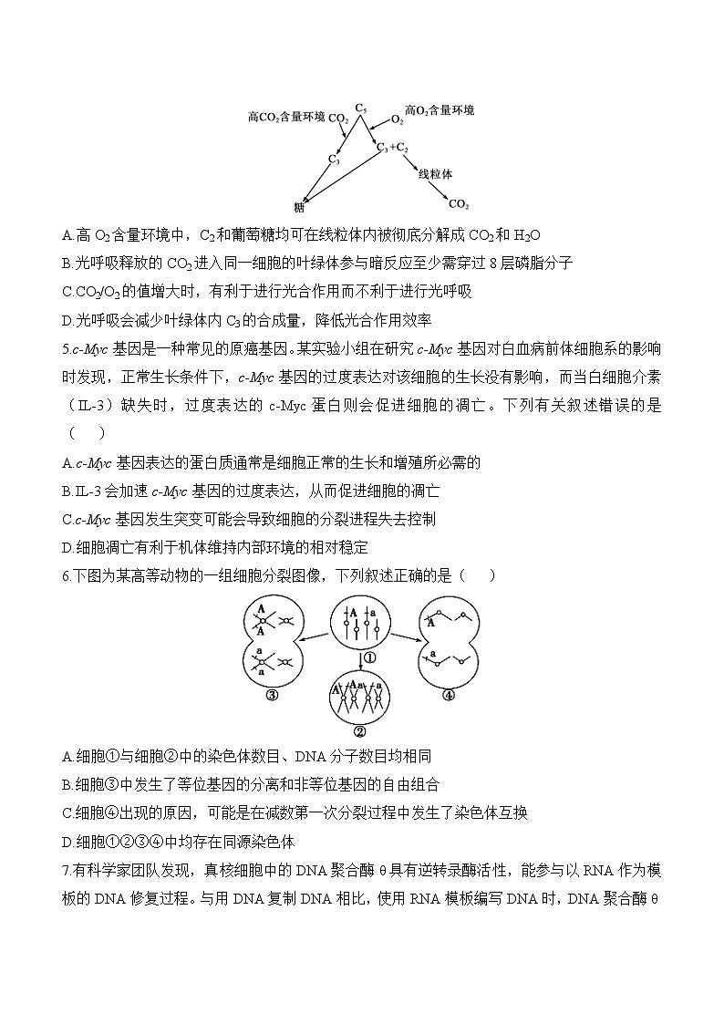 2023届山东省高三高考考向核心卷生物试题及答案（新高考卷）第2页