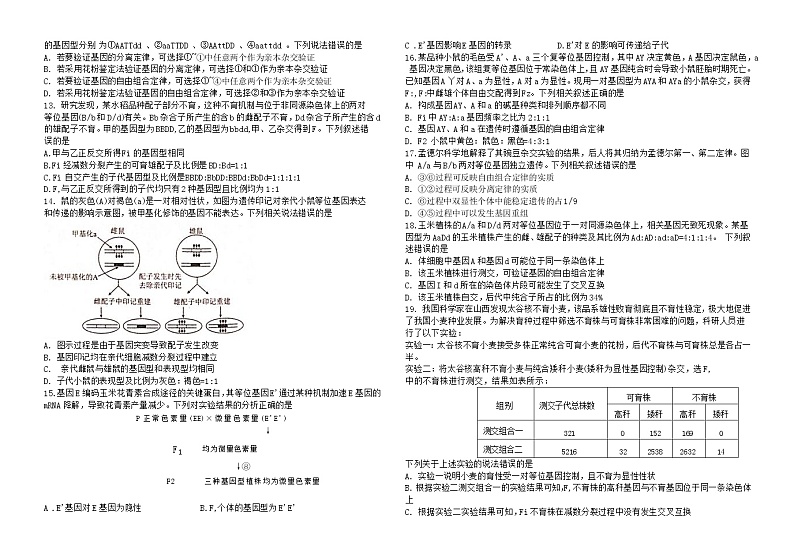 2023铜川王益中学高三上学期期末考试生物含解析03