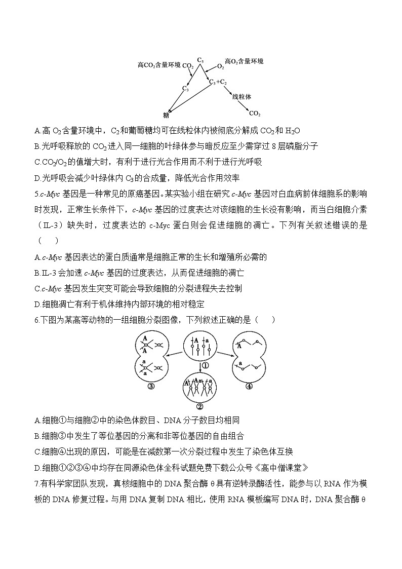 2023山东省高三下学期高考考向核心卷（新高考）生物含解析第2页