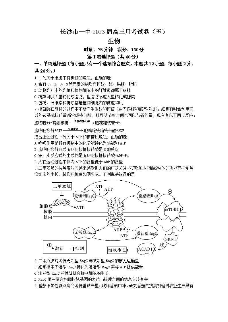 2023长沙一中高三上学期月考（五）生物试卷含答案第1页