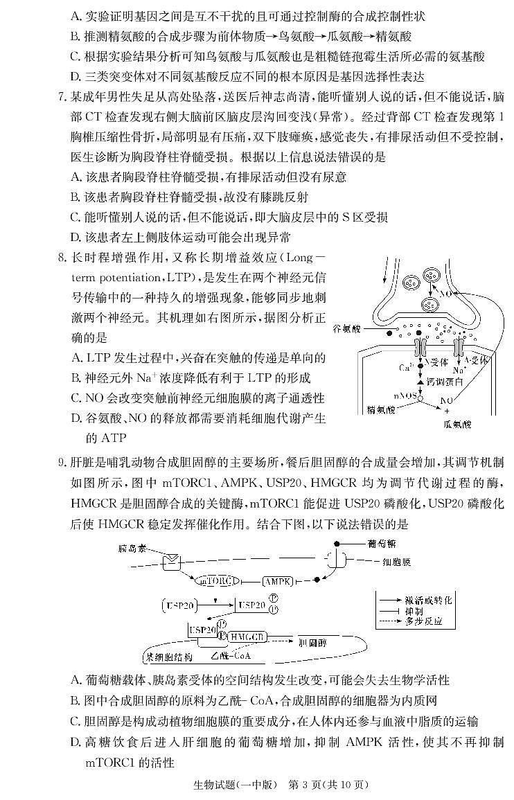 2023长沙一中高三上学期月考（五）生物PDF版含解析03