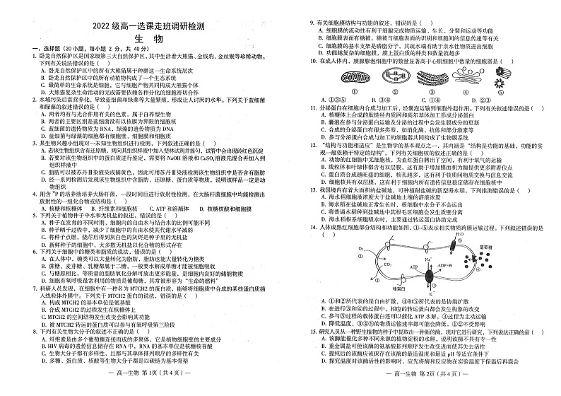 2023南昌高一上学期2月期末生物试题含答案01