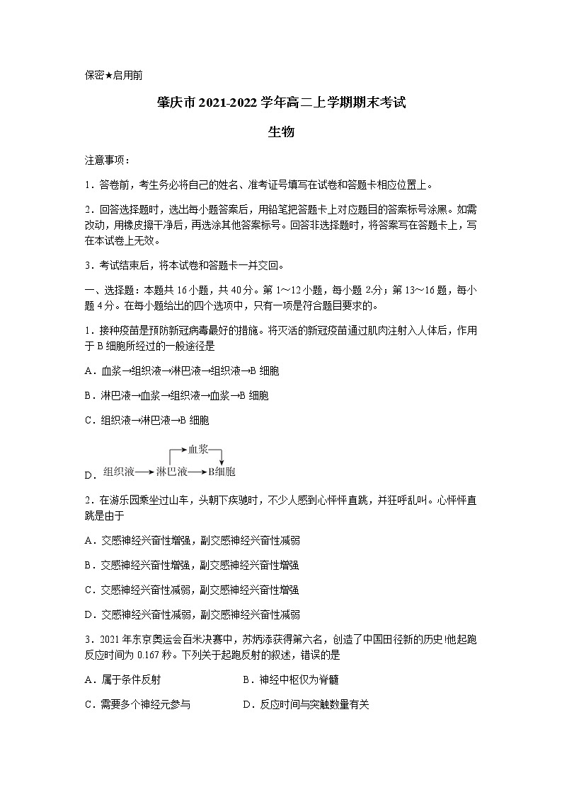 广东省肇庆市2021-2022学年高二上学期期末考试生物试题01