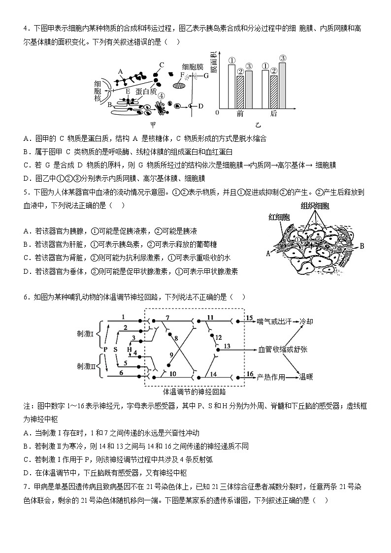 2023届辽宁省沈阳市浑南区东北育才学校高三二模生物试题02