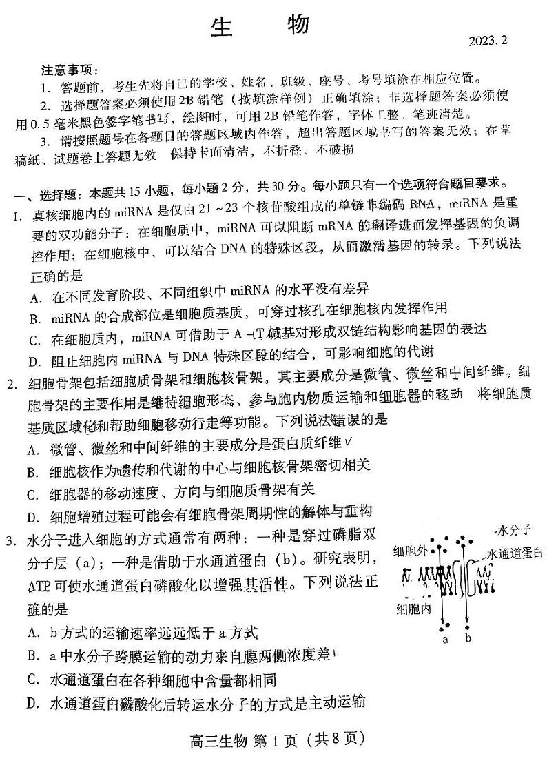 2023潍坊高三下学期2月高考模拟考试（一模）生物PDF版无答案01
