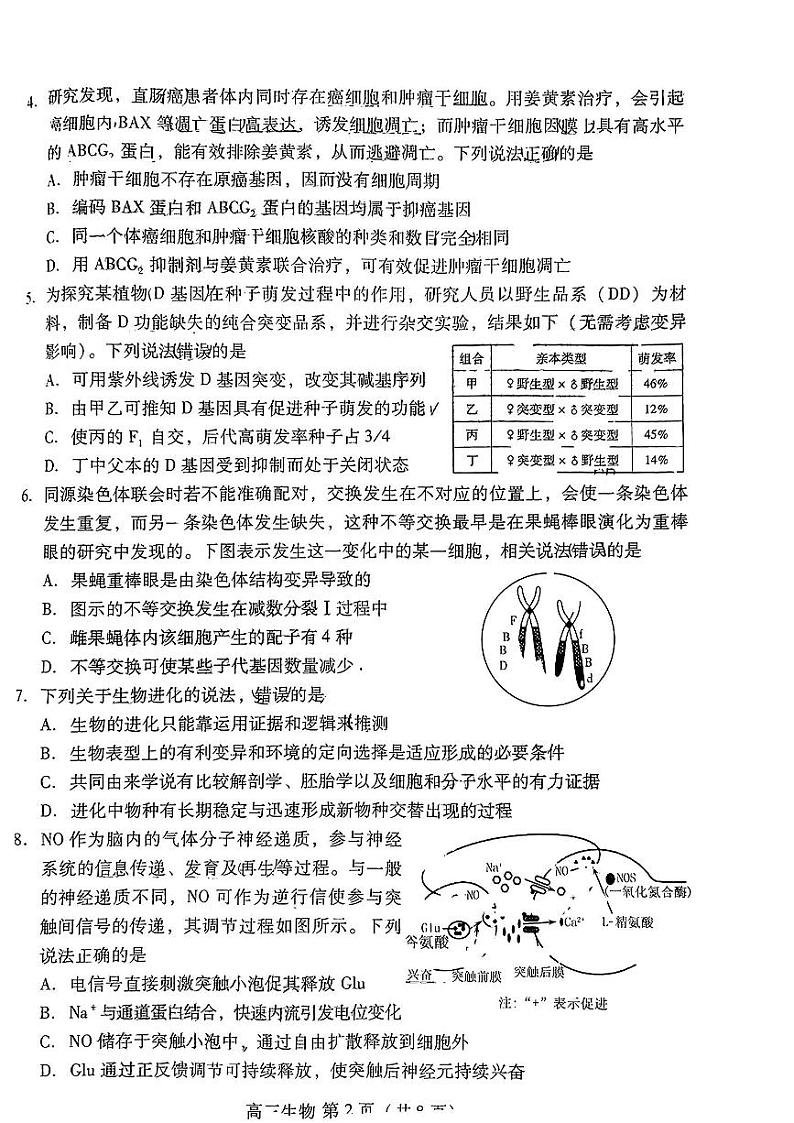 2023潍坊高三下学期2月高考模拟考试（一模）生物PDF版无答案02