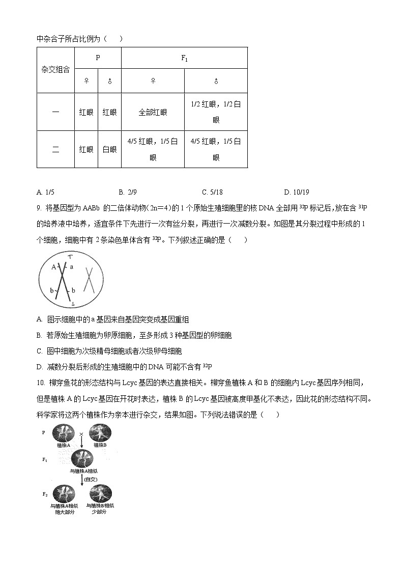 2023届安徽省合肥市高三第一次教学质量检测生物试题无答案第3页
