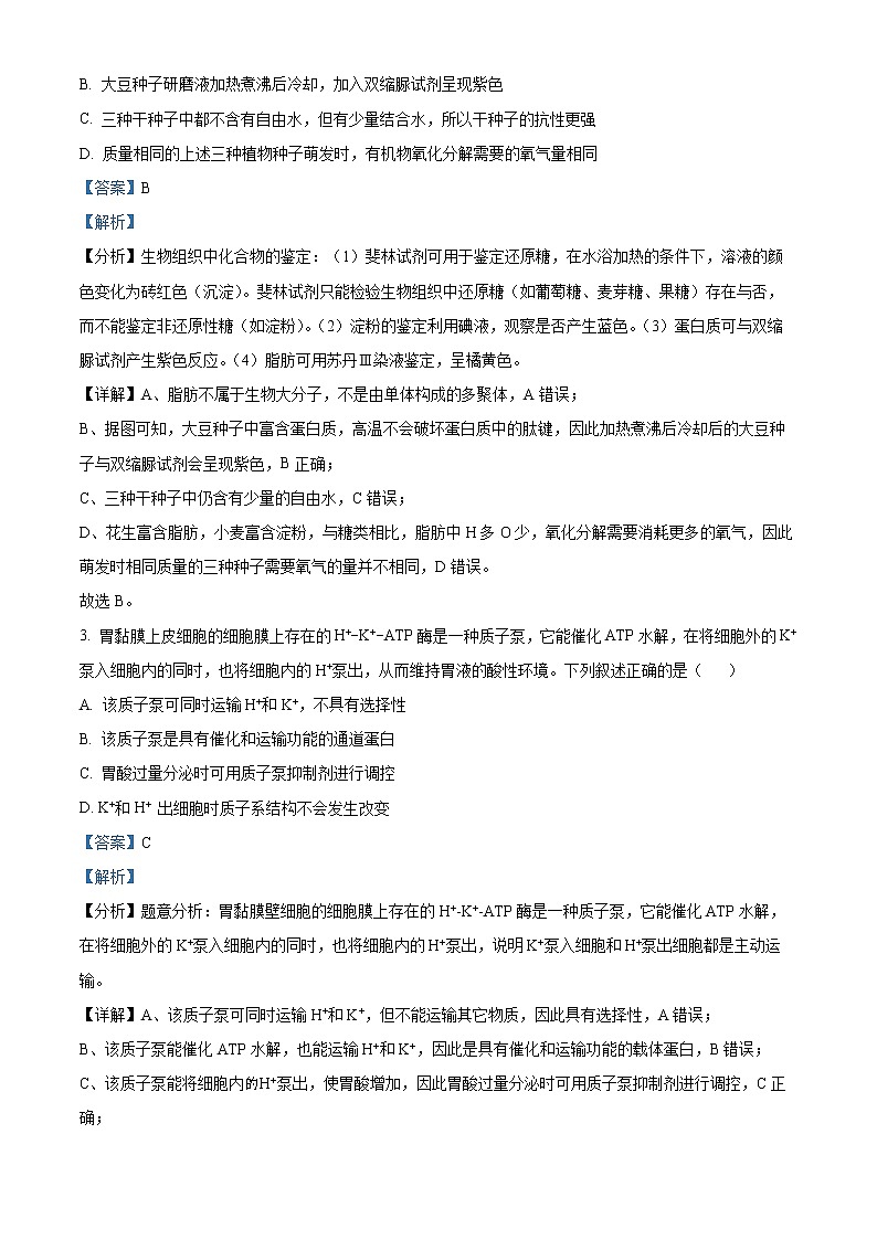 2023届安徽省合肥市高三第一次教学质量检测生物试题含解析第2页