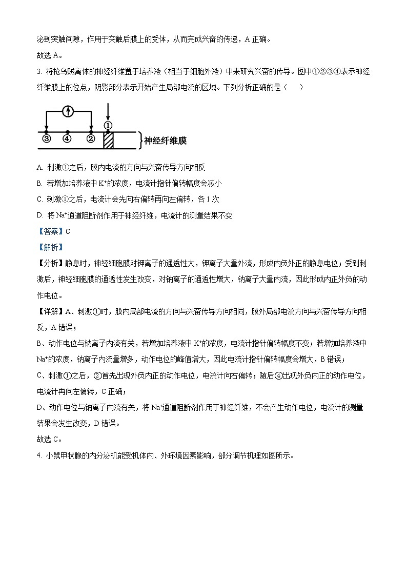 2023郴州高二上学期期末质量监测生物试题含解析02