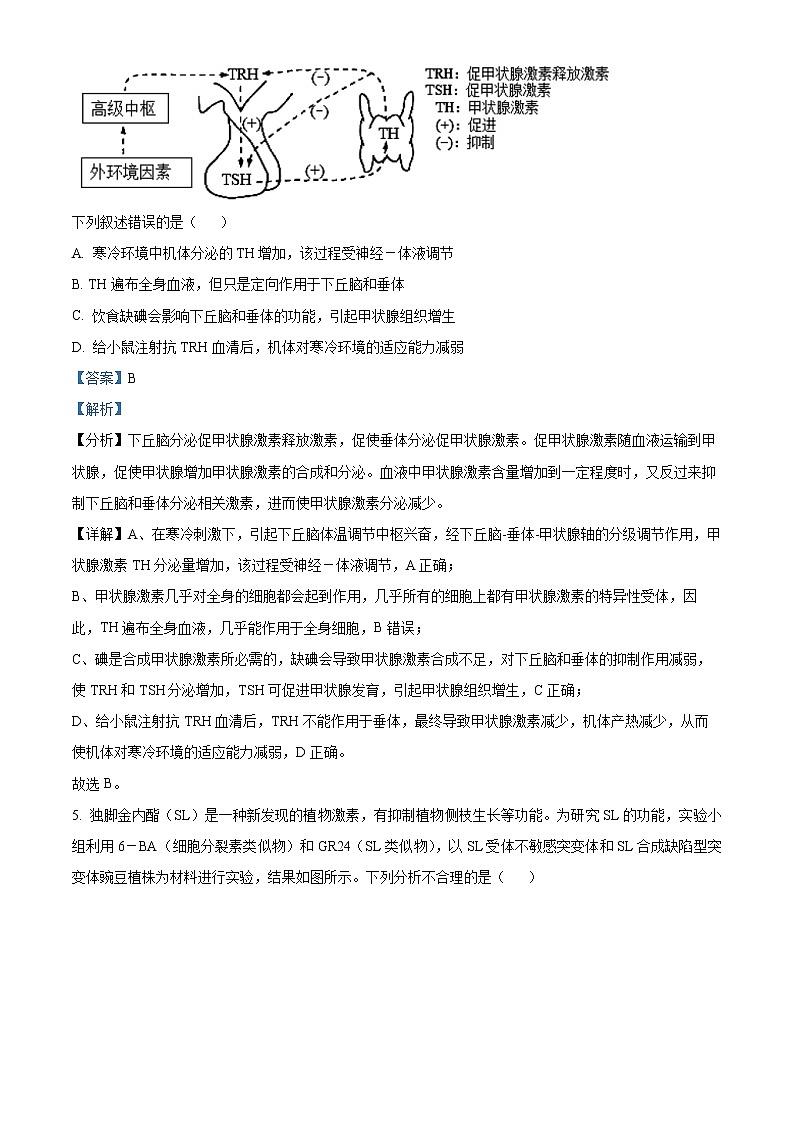 2023郴州高二上学期期末质量监测生物试题含解析03