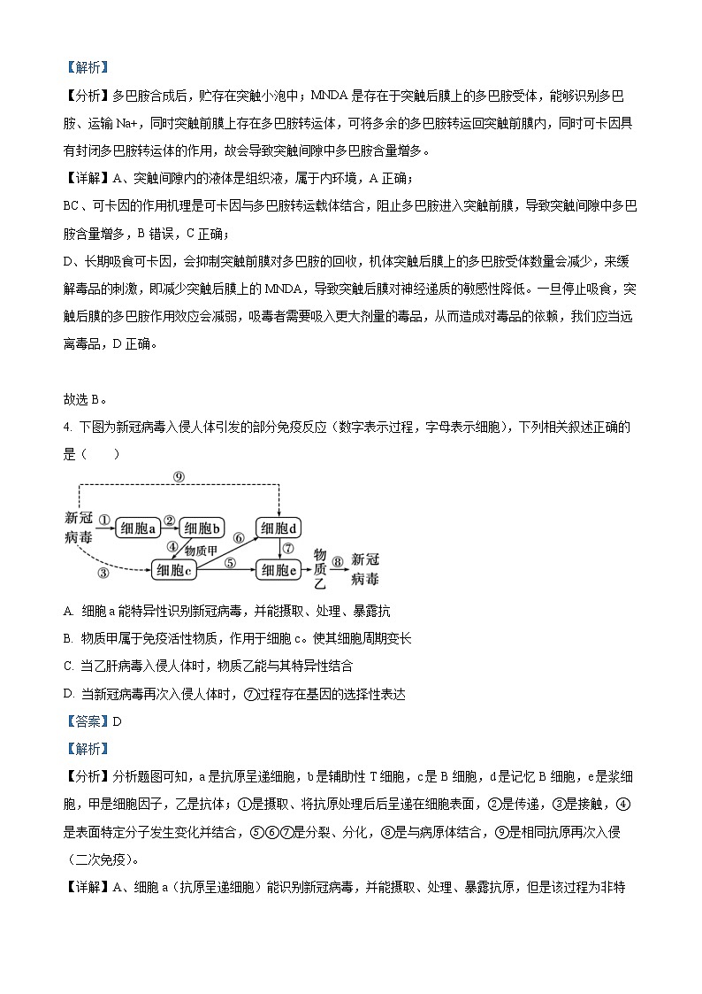湖南省益阳市2022-2023学年高二上学期期末生物试题含解析第3页