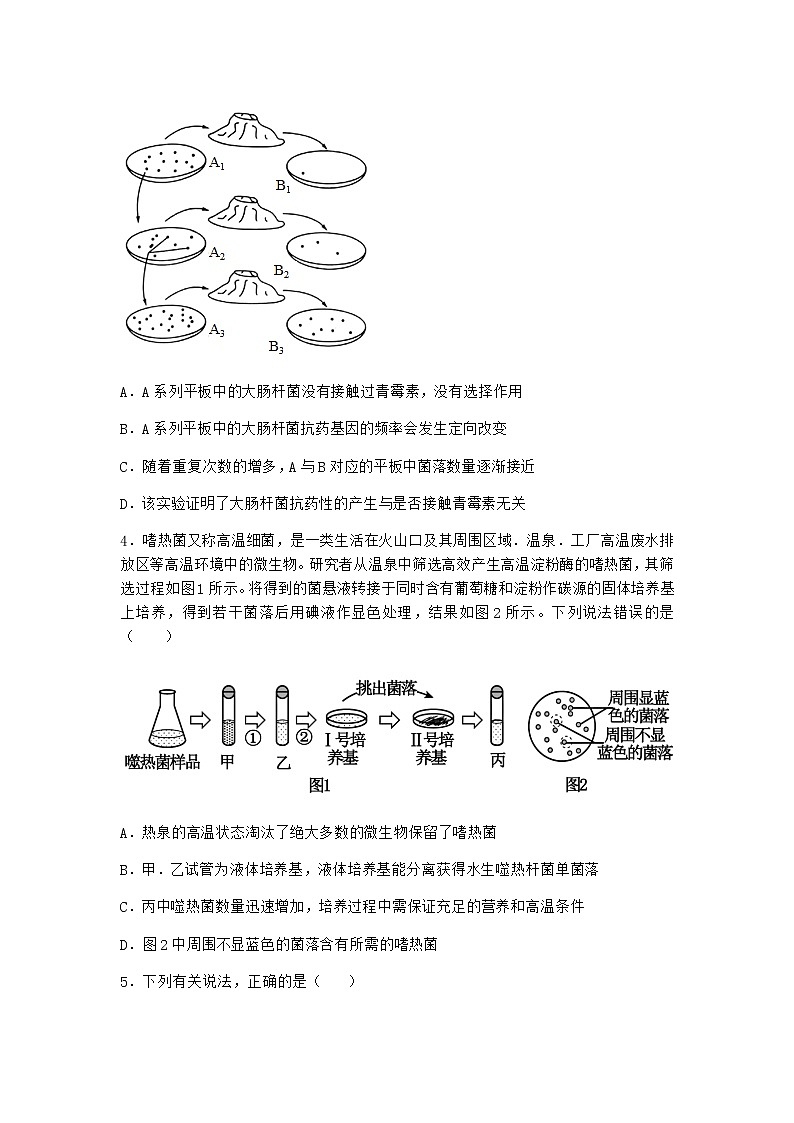 北师大版高中生物选择性必修3第三节传统发酵技术课堂作业含答案2第2页