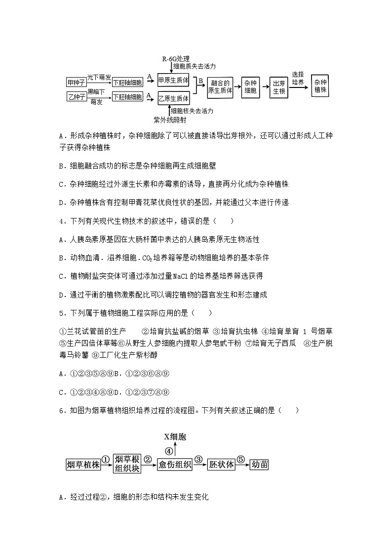 北师大版高中生物选择性必修3第一节植物细胞工程课堂作业含答案302