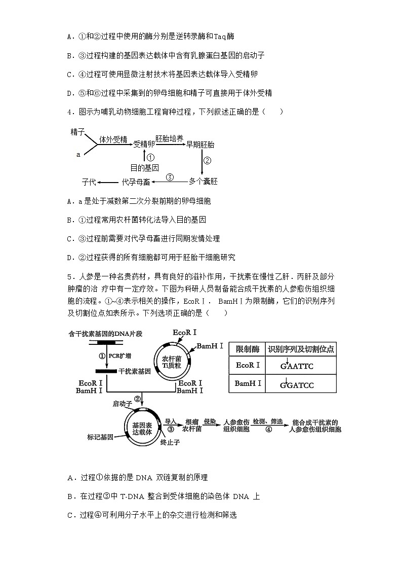 北师大版高中生物选择性必修3第三节胚胎工程课堂作业含答案302