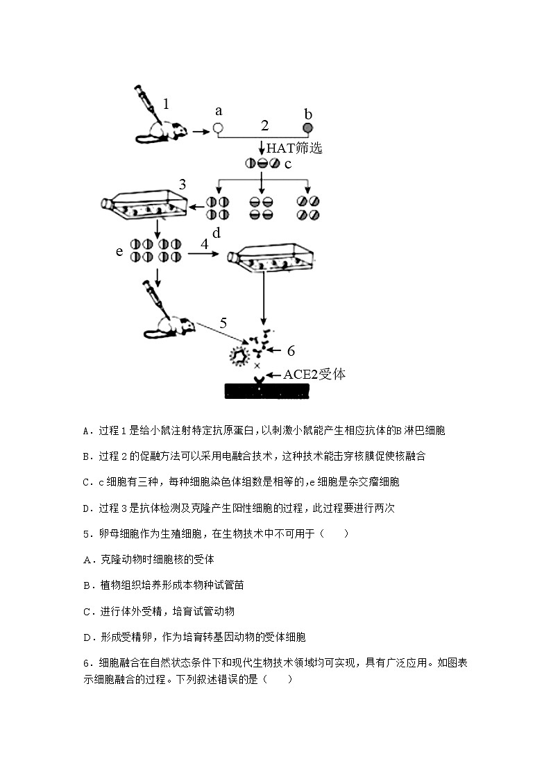北师大版高中生物选择性必修3第二节动物细胞工程课堂作业含答案03