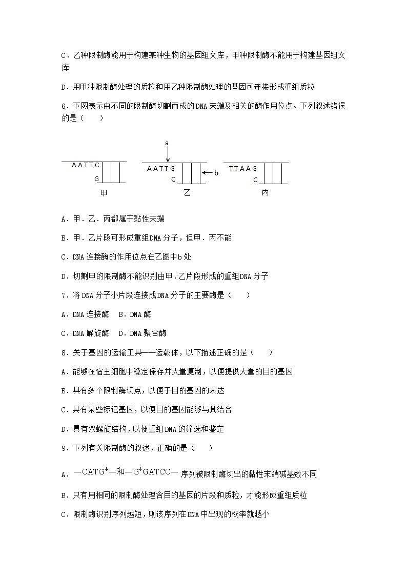 北师大版高中生物选择性必修3第一节基因工程的原理课堂作业含答案102