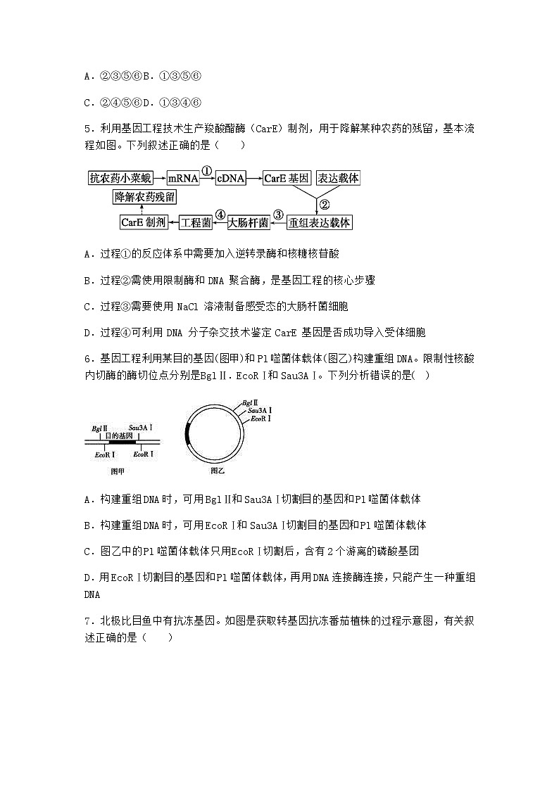 北师大版高中生物选择性必修3第一节基因工程的原理课堂作业含答案202